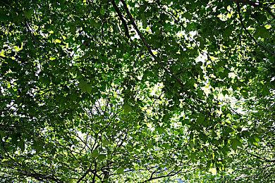 互动视觉游戏《那年夏末》Steam页面上线 发售日期待定